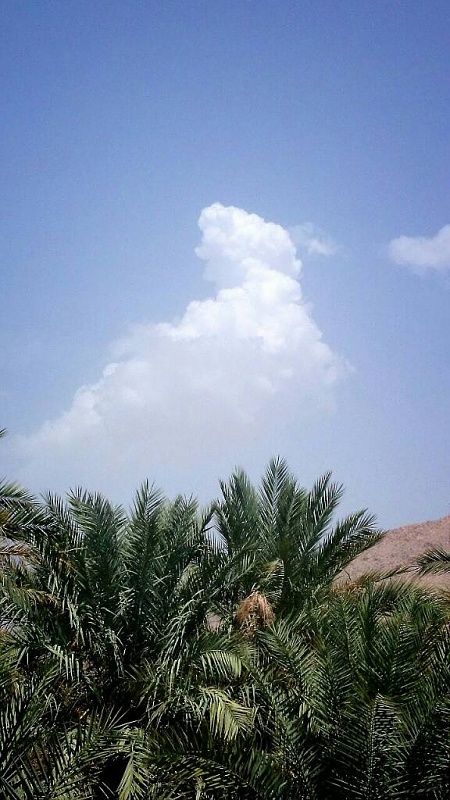     . 

:	uploadfromtaptalk1407836512621.jpg 
:	111 
:	94.7  
:	15696