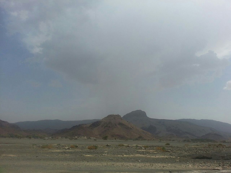     . 

:	uploadfromtaptalk1407840248186.jpg 
:	104 
:	89.2  
:	15700
