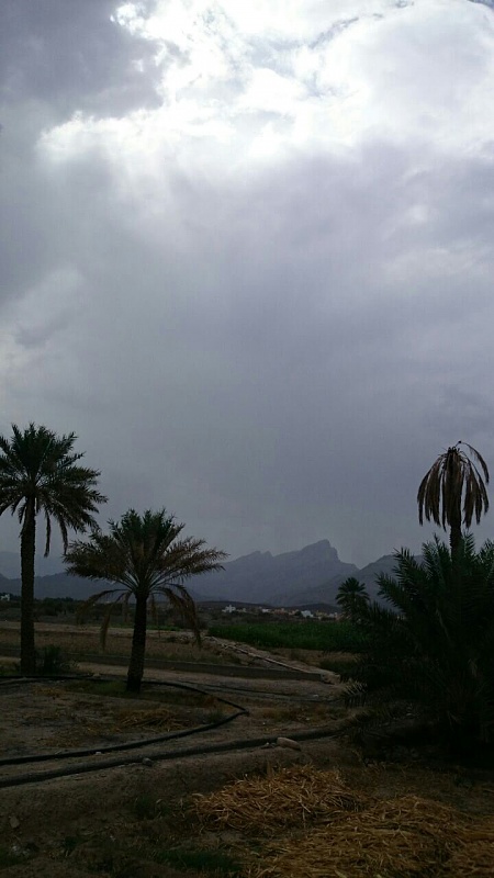     . 

:	uploadfromtaptalk1407845249190.jpg 
:	98 
:	91.5  
:	15720
