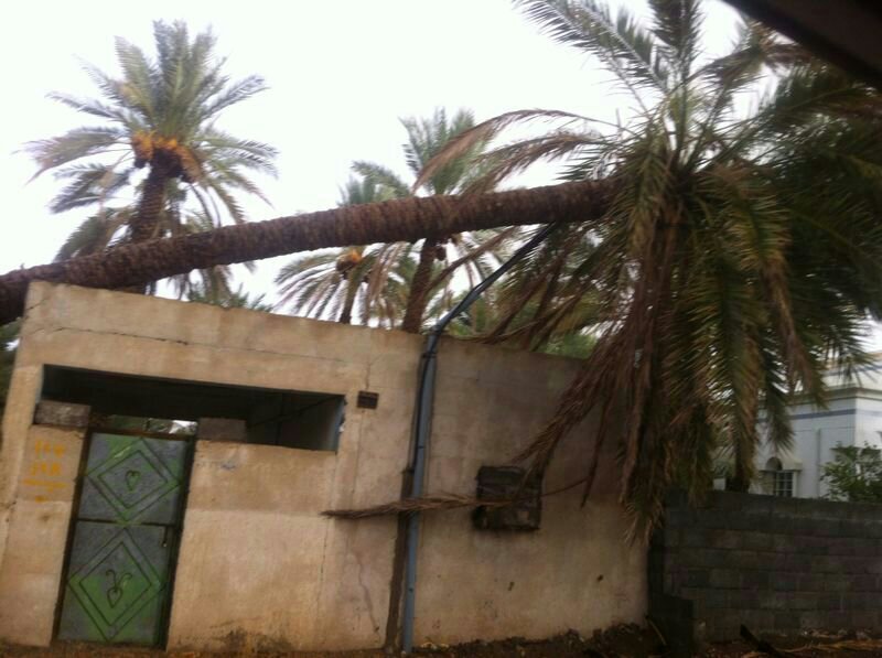 :	uploadfromtaptalk1407850775068.jpg
: 91
:	79.0 