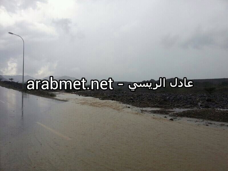 :	uploadfromtaptalk1354616389651.jpg
: 62
:	93.4 