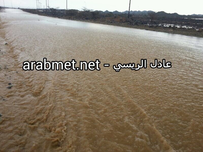 :	uploadfromtaptalk1354616415016.jpg
: 72
:	130.5 