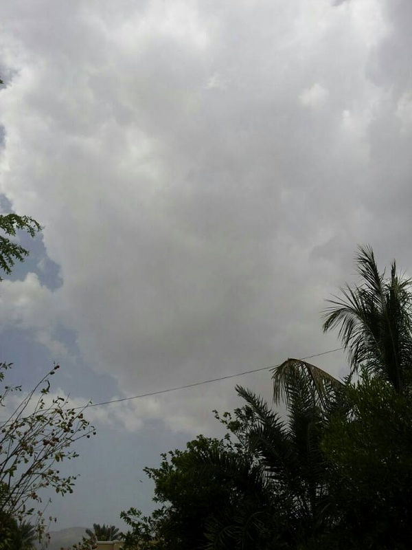     . 

:	uploadfromtaptalk1408185178107.jpg 
:	115 
:	57.6  
:	15929