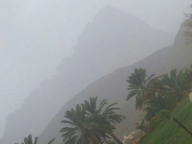 :	uploadfromtaptalk1408185483537.jpg
: 57
:	31.6 