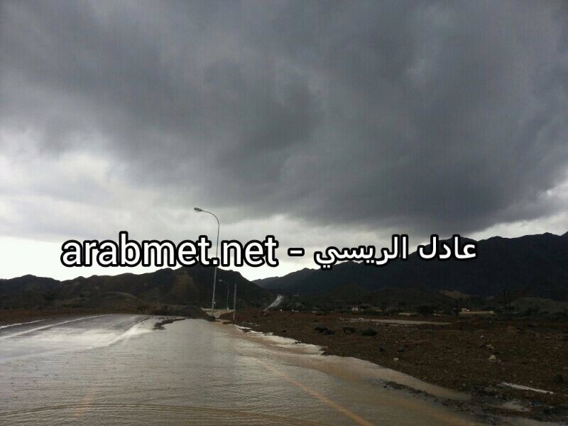 :	uploadfromtaptalk1354616434902.jpg
: 66
:	95.5 