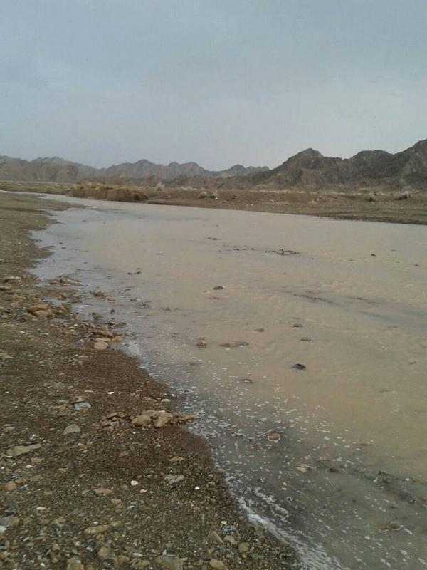     . 

:	uploadfromtaptalk1408199251953.jpg 
:	88 
:	75.5  
:	15973