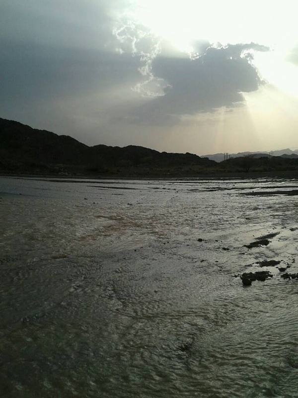     . 

:	uploadfromtaptalk1408199272620.jpg 
:	81 
:	82.4  
:	15976