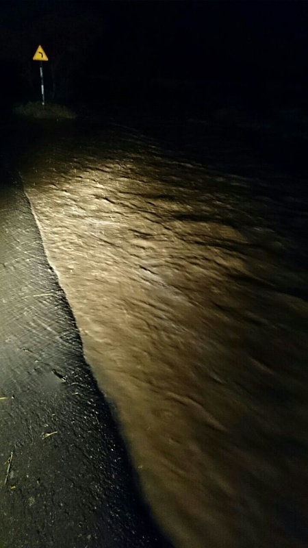     . 

:	uploadfromtaptalk1408207707081.jpg 
:	100 
:	101.1  
:	15989