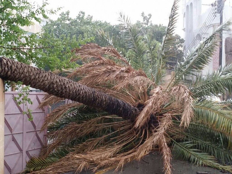     . 

:	uploadfromtaptalk1408280973210.jpg 
:	149 
:	147.8  
:	16031