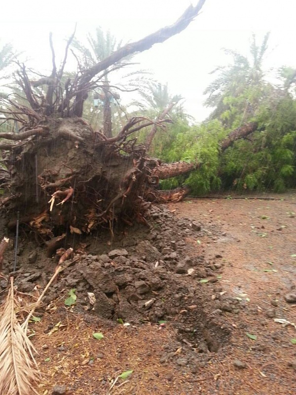     . 

:	uploadfromtaptalk1408280994941.jpg 
:	157 
:	122.4  
:	16033