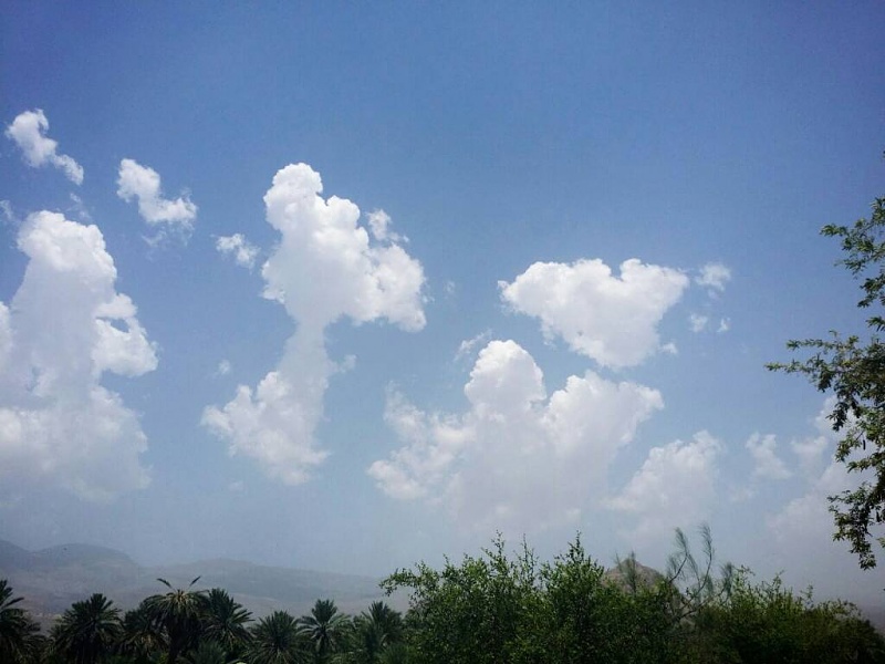     . 

:	uploadfromtaptalk1408351863774.jpg 
:	114 
:	58.2  
:	16164
