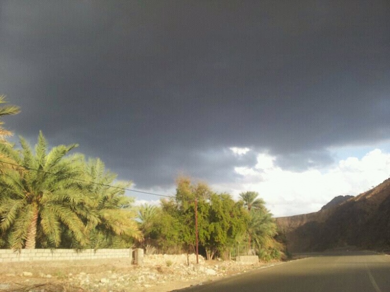     . 

:	uploadfromtaptalk1354633426705.jpg 
:	63 
:	96.6  
:	1625