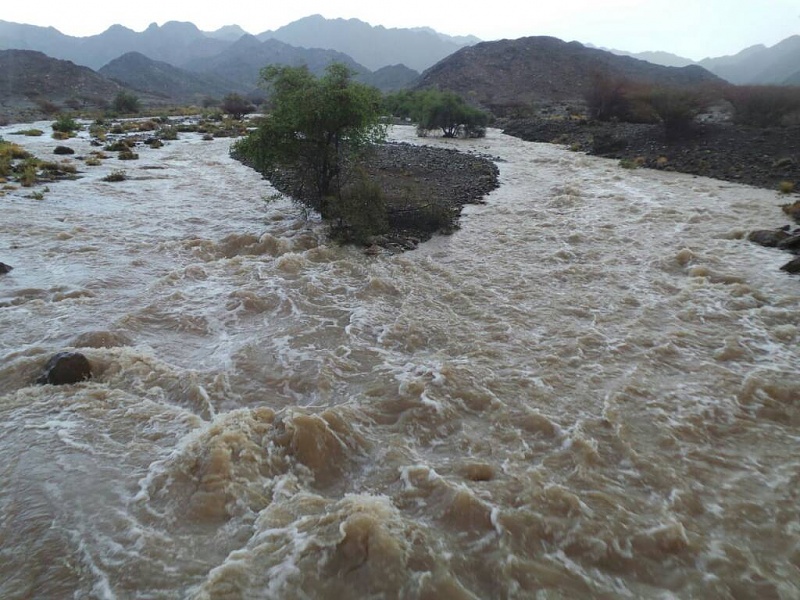     . 

:	uploadfromtaptalk1408453854022.jpg 
:	61 
:	107.5  
:	16262