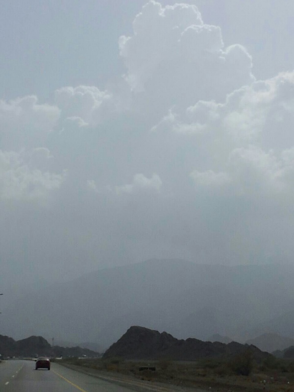     . 

:	uploadfromtaptalk1408533691914.jpg 
:	82 
:	60.1  
:	16325