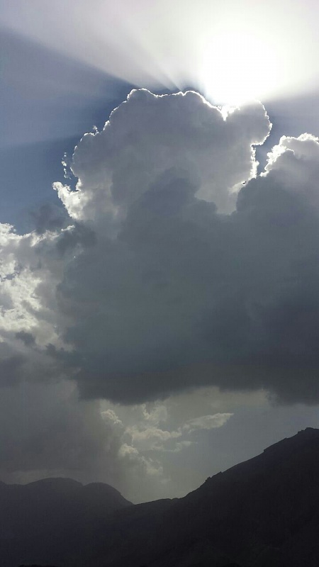     . 

:	uploadfromtaptalk1408533831712.jpg 
:	81 
:	50.8  
:	16327