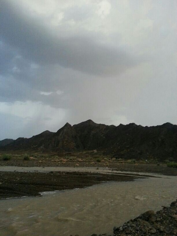     . 

:	uploadfromtaptalk1408554370315.jpg 
:	59 
:	49.5  
:	16396