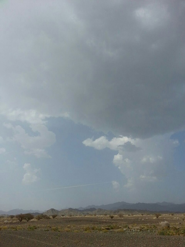    . 

:	uploadfromtaptalk1408620748768.jpg 
:	100 
:	84.5  
:	16440