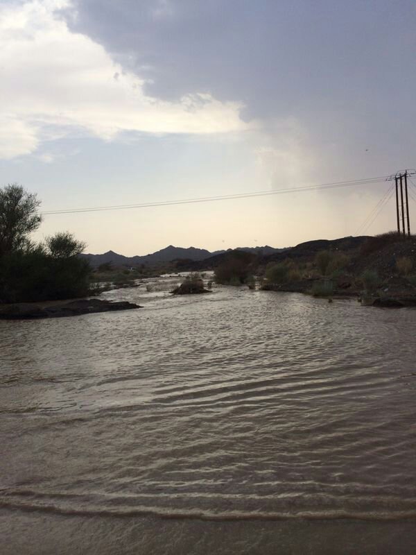 :	uploadfromtaptalk1408721849550.jpg
: 97
:	66.4 