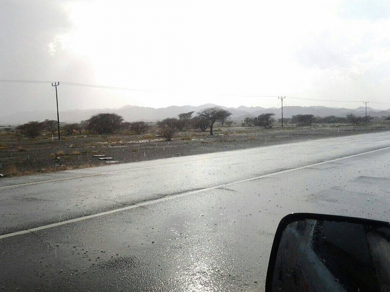     . 

:	uploadfromtaptalk1408728641518.jpg 
:	81 
:	93.2  
:	16508