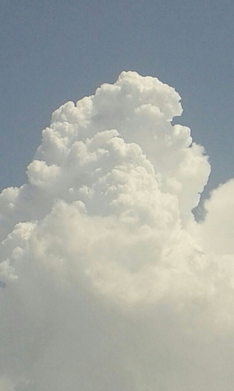     . 

:	uploadfromtaptalk1408787548374.jpg 
:	109 
:	64.3  
:	16520