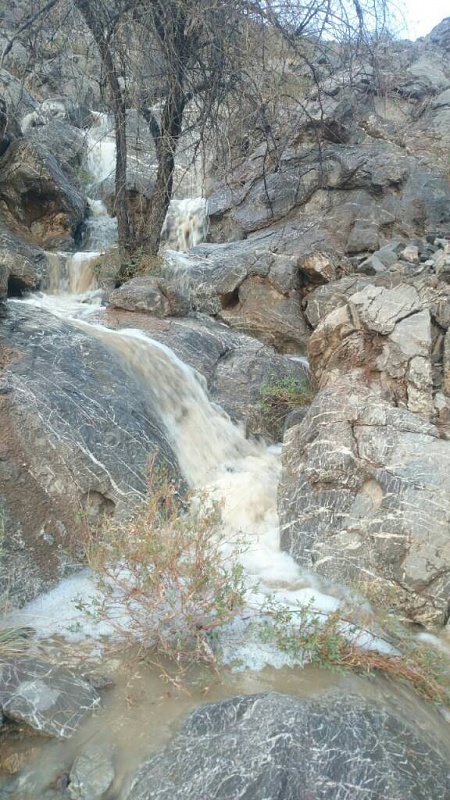     . 

:	uploadfromtaptalk1408900626175.jpg 
:	113 
:	114.4  
:	16610