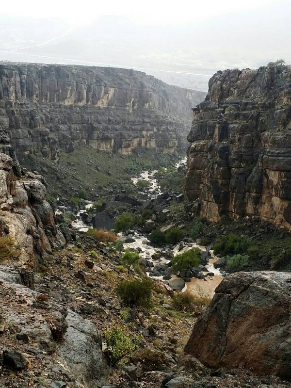     . 

:	uploadfromtaptalk1409241762956.jpg 
:	58 
:	141.5  
:	16813