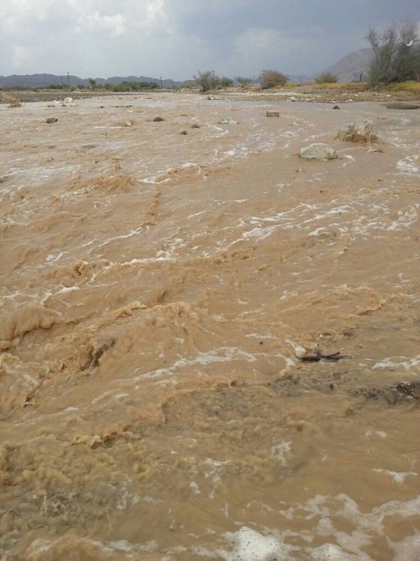     . 

:	uploadfromtaptalk1409325204235.jpg 
:	115 
:	78.9  
:	16896