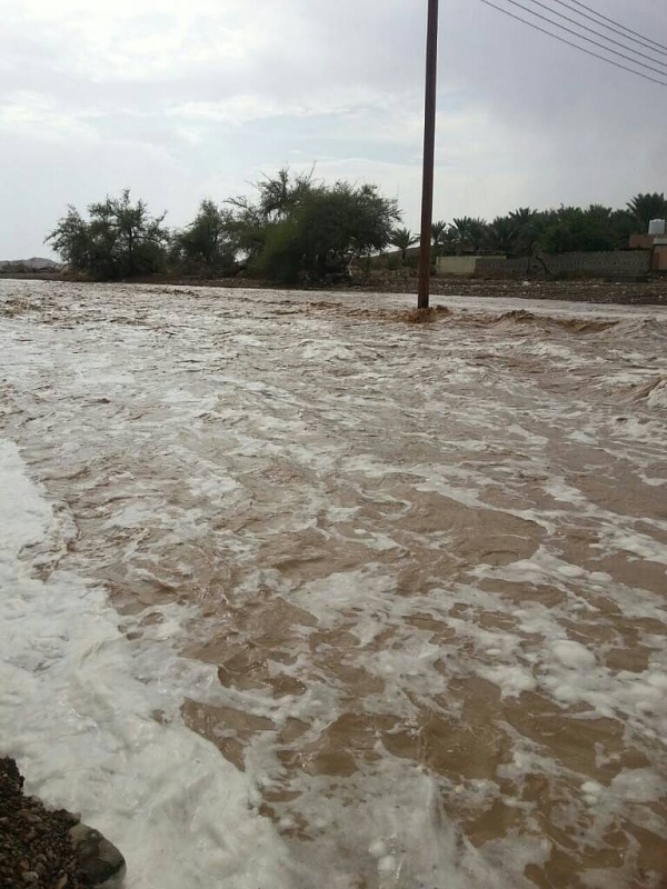     . 

:	uploadfromtaptalk1409325236007.jpg 
:	106 
:	94.3  
:	16898