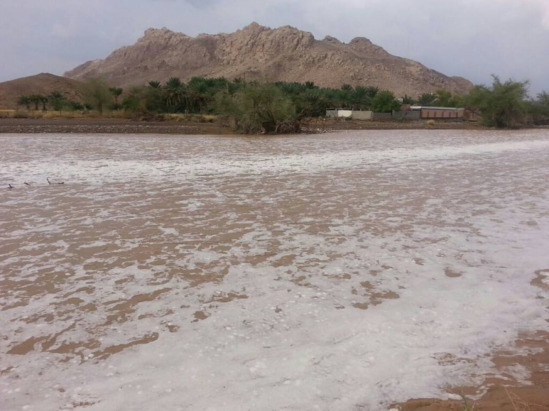     . 

:	uploadfromtaptalk1409325254037.jpg 
:	113 
:	90.7  
:	16899