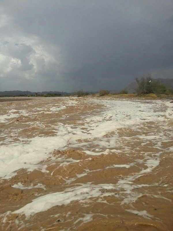     . 

:	uploadfromtaptalk1409325266427.jpg 
:	117 
:	71.5  
:	16900