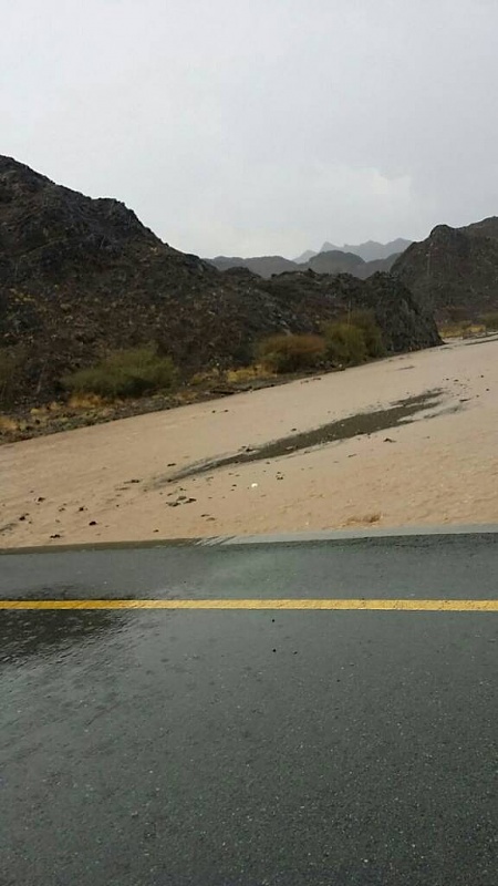     . 

:	uploadfromtaptalk1409325477519.jpg 
:	96 
:	50.4  
:	16901