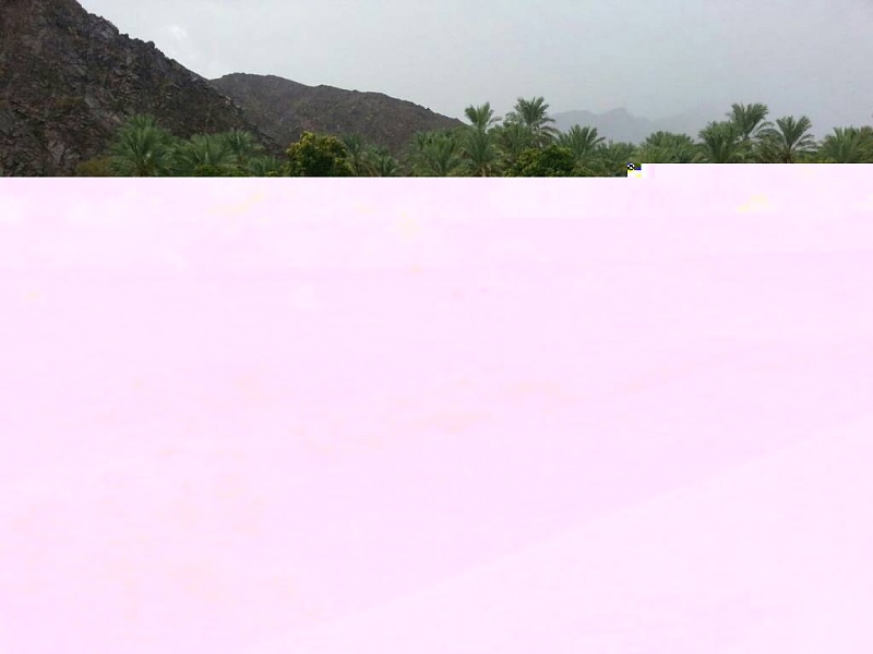     . 

:	uploadfromtaptalk1409325578524.jpg 
:	111 
:	98.1  
:	16902