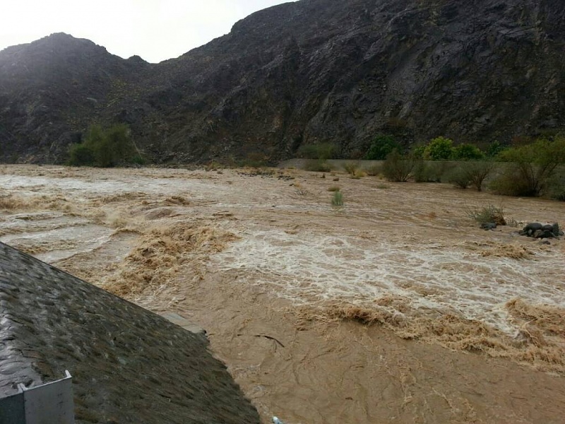     . 

:	uploadfromtaptalk1409325589967.jpg 
:	107 
:	107.4  
:	16903