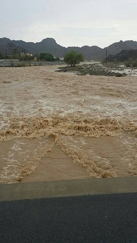     . 

:	uploadfromtaptalk1409325649249.jpg 
:	110 
:	70.9  
:	16904