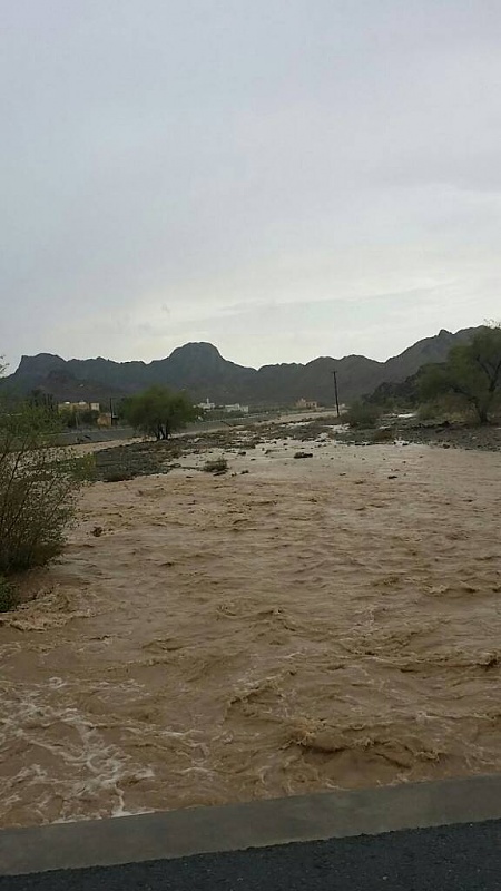     . 

:	uploadfromtaptalk1409325661813.jpg 
:	111 
:	53.6  
:	16905