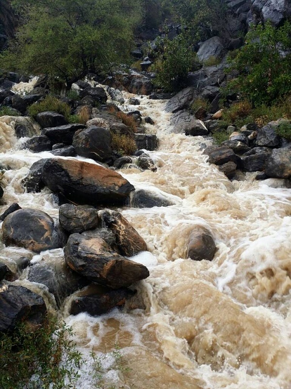     . 

:	uploadfromtaptalk1409327860333.jpg 
:	95 
:	140.5  
:	16937