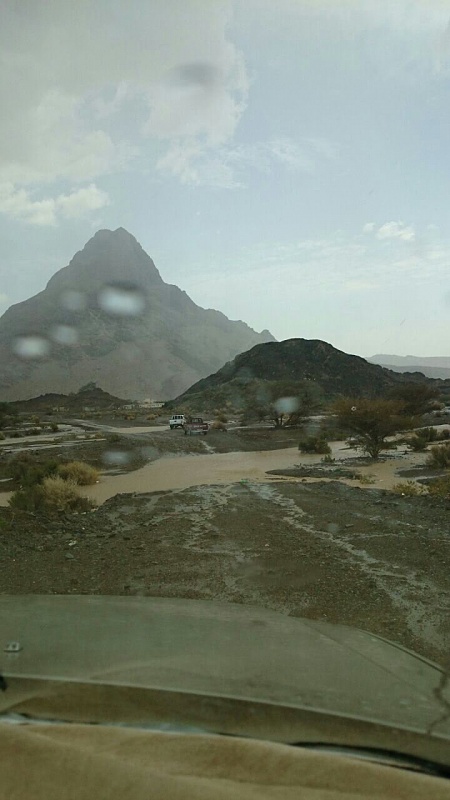     . 

:	uploadfromtaptalk1409412232120.jpg 
:	108 
:	89.4  
:	17073