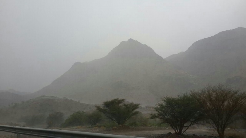     . 

:	uploadfromtaptalk1409414591997.jpg 
:	77 
:	50.9  
:	17117