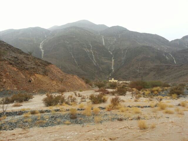 :	uploadfromtaptalk1409422227184.jpg
: 124
:	53.7 