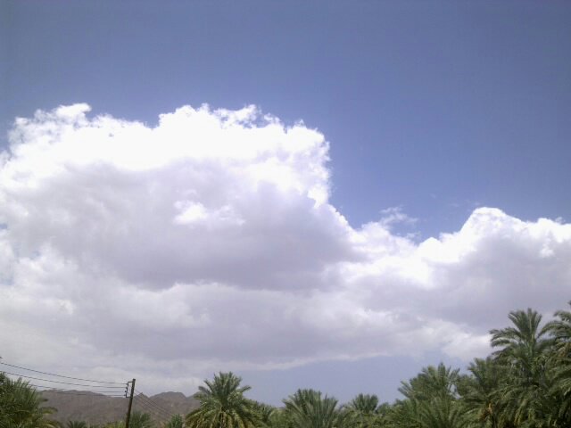 :	uploadfromtaptalk1409826374054.jpg
: 50
:	30.9 