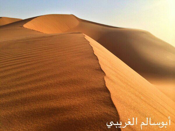 :	uploadfromtaptalk1409993967025.jpg
: 474
:	58.4 