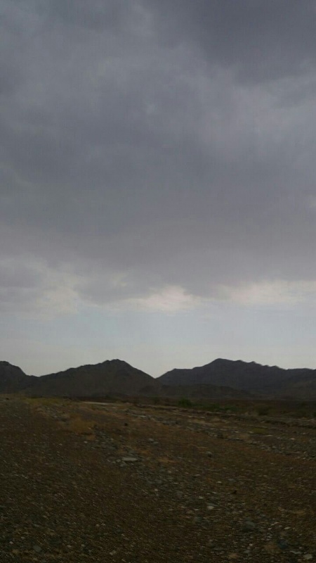     . 

:	uploadfromtaptalk1410017244749.jpg 
:	83 
:	62.7  
:	17310