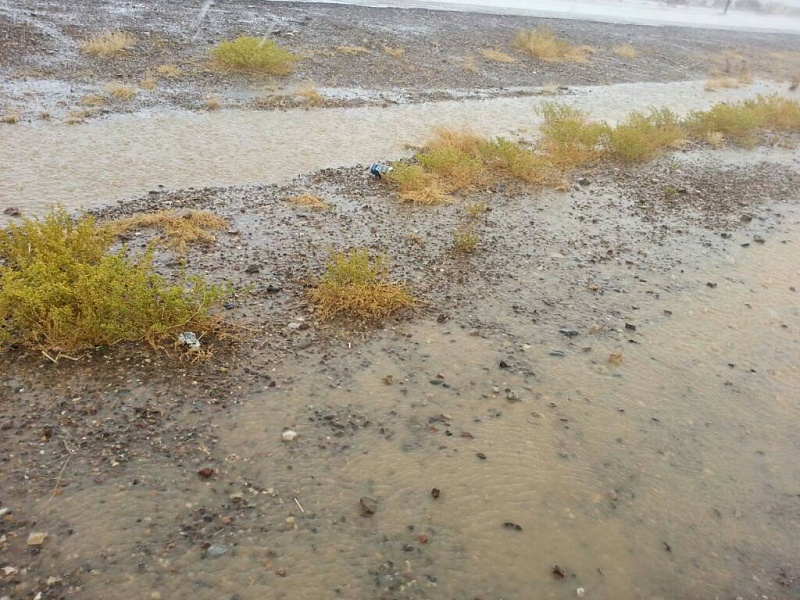     . 

:	uploadfromtaptalk1410173262416.jpg 
:	87 
:	126.8  
:	17368