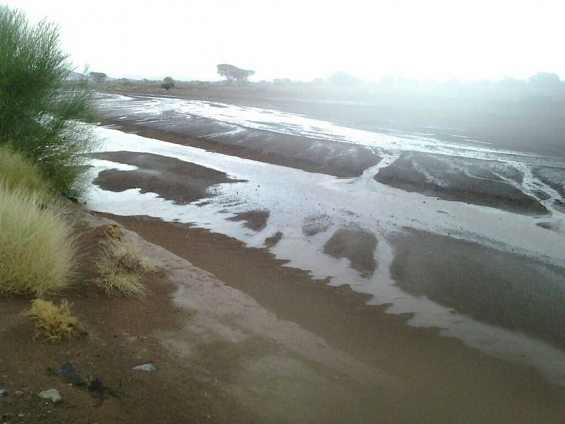     . 

:	uploadfromtaptalk1410212893916.jpg 
:	251 
:	64.4  
:	17395