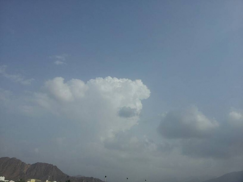     . 

:	uploadfromtaptalk1410781939958.jpg 
:	64 
:	16.0  
:	17699