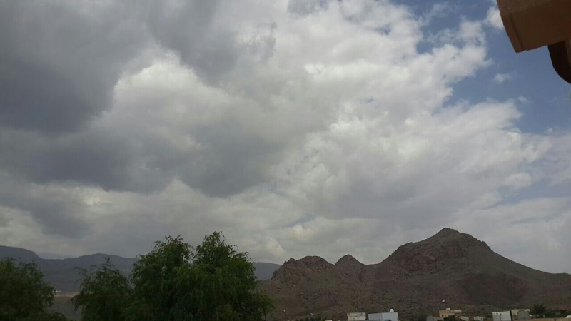     . 

:	uploadfromtaptalk1410944142686.jpg 
:	80 
:	64.3  
:	17816