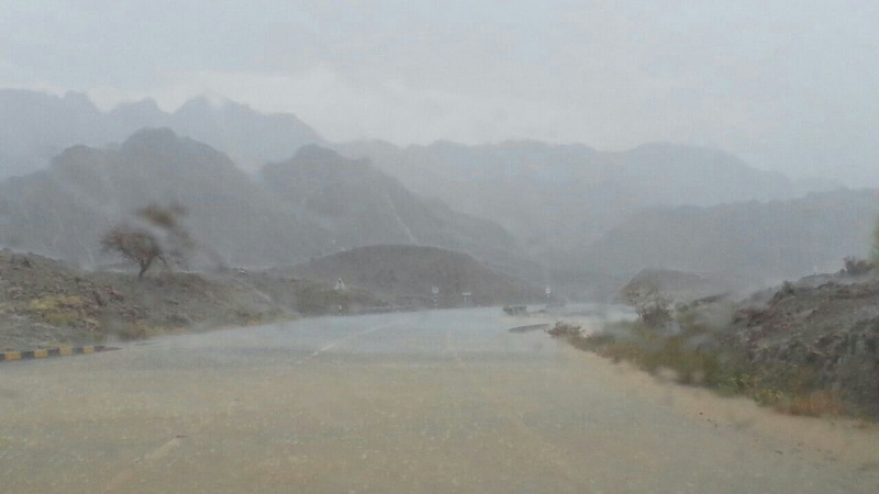     . 

:	uploadfromtaptalk1410974527768.jpg 
:	51 
:	58.9  
:	17856