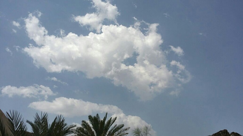     . 

:	uploadfromtaptalk1411034373762.jpg 
:	55 
:	57.4  
:	17867