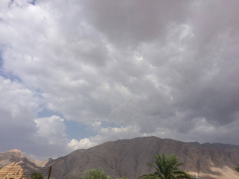     . 

:	uploadfromtaptalk1411039675017.jpg 
:	95 
:	44.4  
:	17871