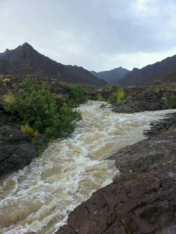     . 

:	uploadfromtaptalk1411042604096.jpg 
:	80 
:	93.0  
:	17877